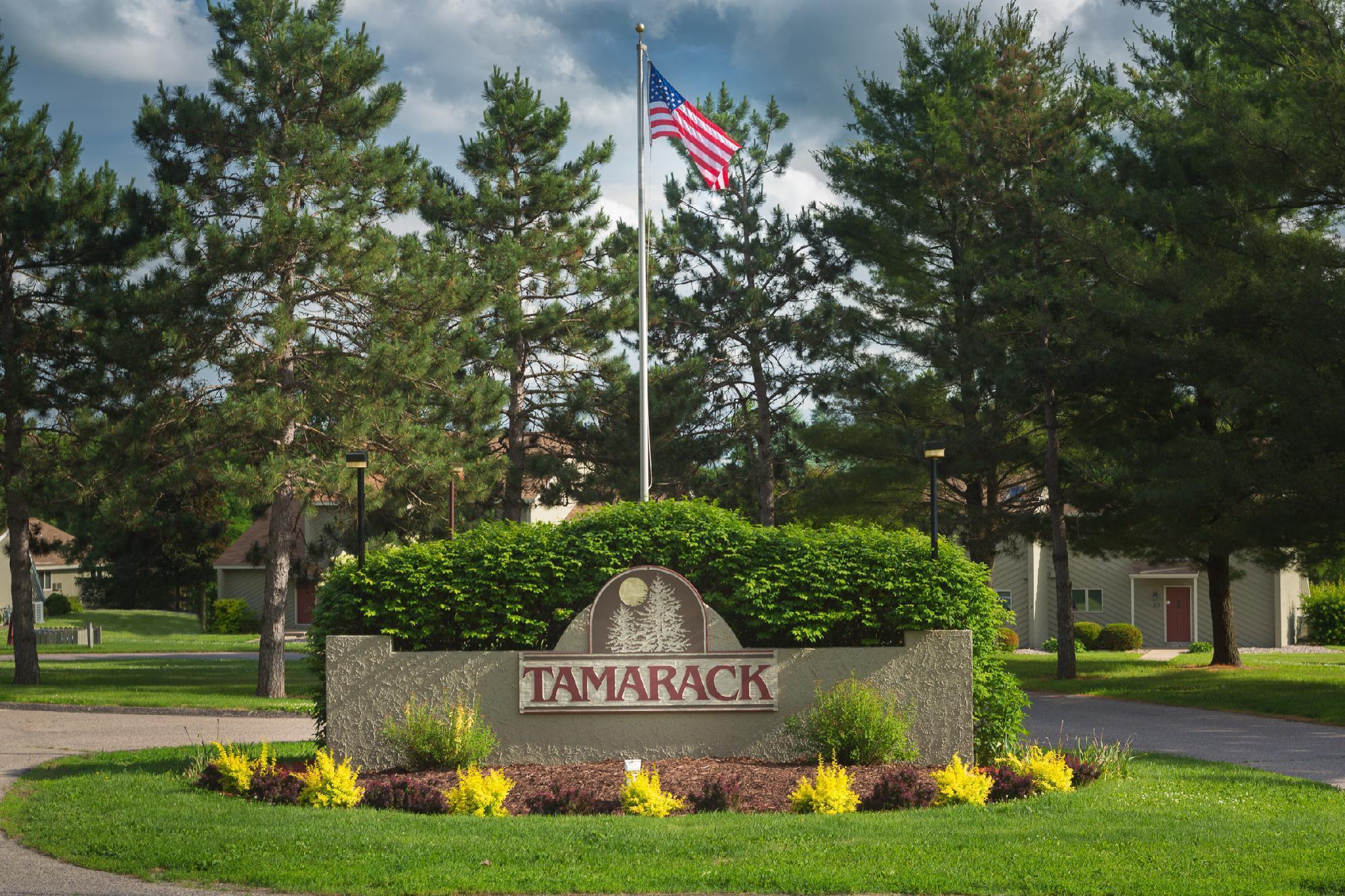 Tamarack Wisconsin Dells, A Ramada By Wyndham Hotel Luaran gambar